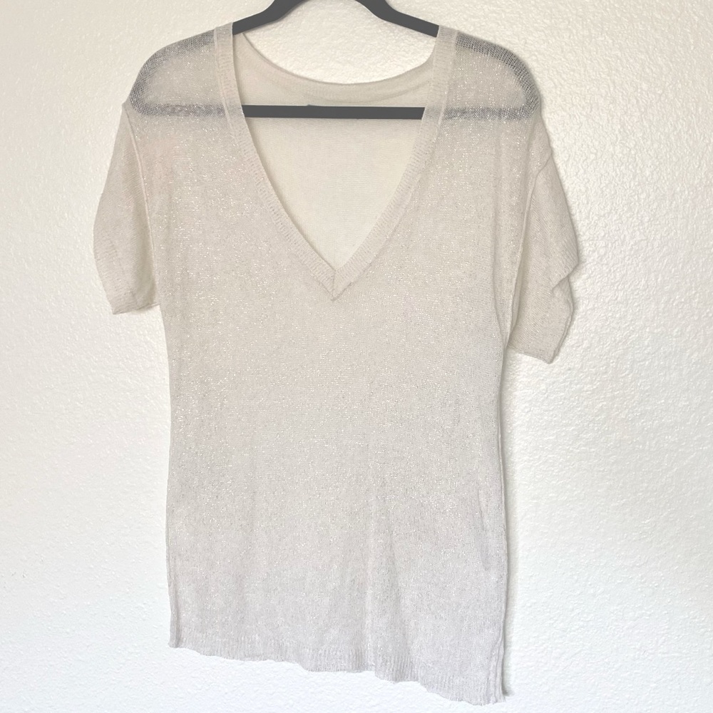 Velvet Shimmer Sheer Top